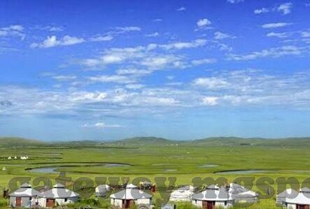 九游体育在线登录-九游体育在线登录，便捷体验与安全保障并重